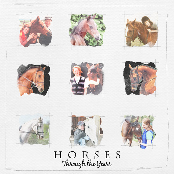 Horses 1