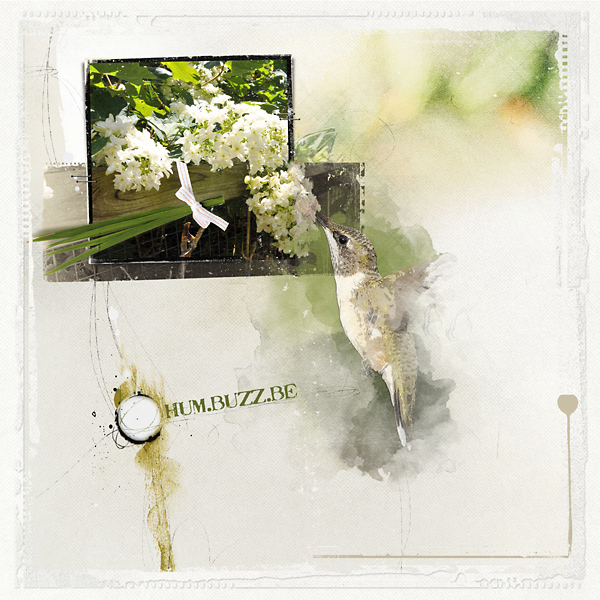 HummingBird.