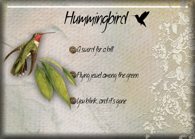 Hummingbird