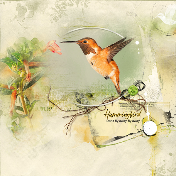 Hummingbird