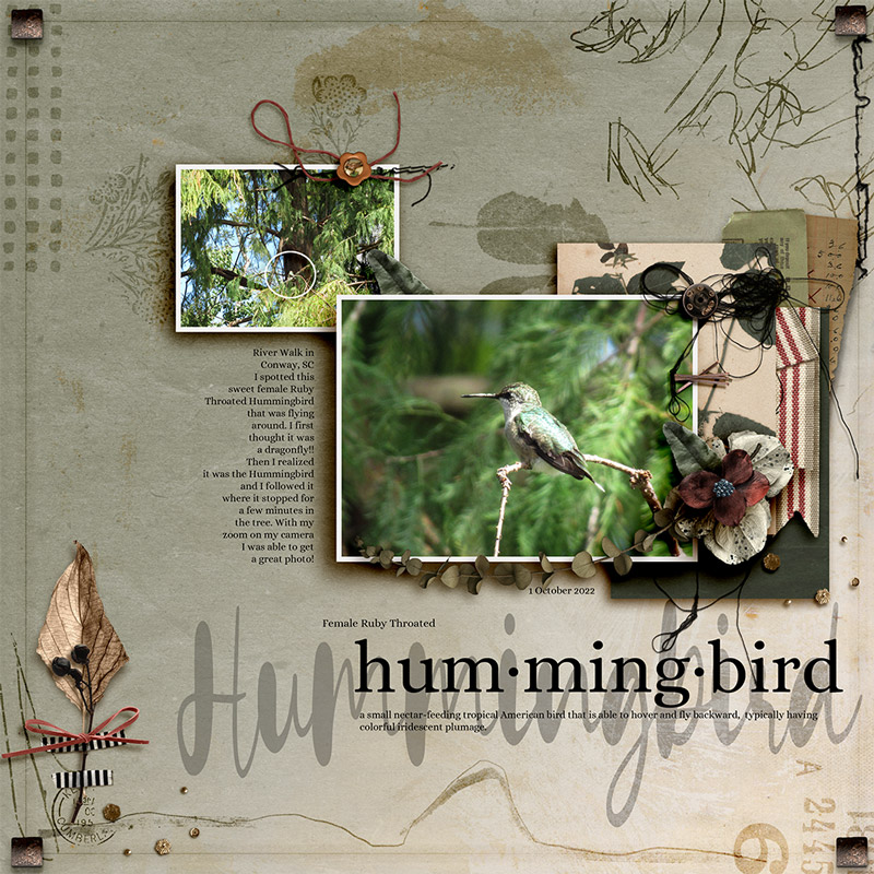 Hummingbird