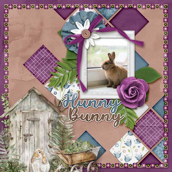 Hunny Bunny