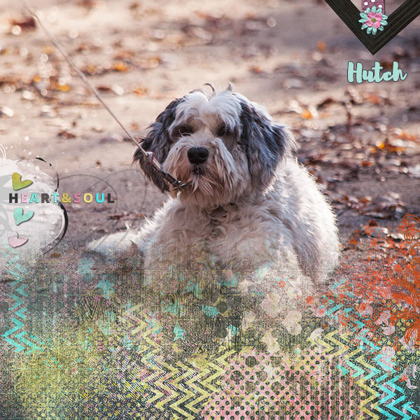 Hutch - NBK Designs - Every Little Bit Challenge