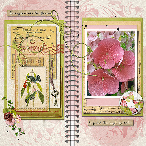 Hydrangea Journal page