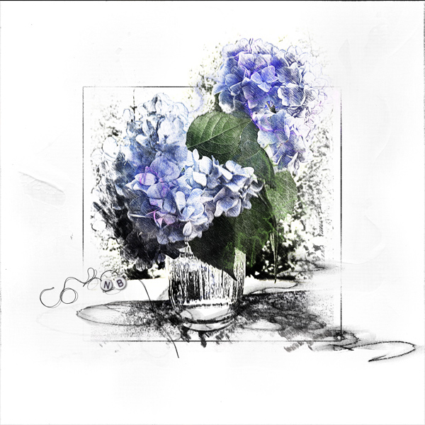 Hydrangea Still Life_Potpourri_NAdams_600.jpg