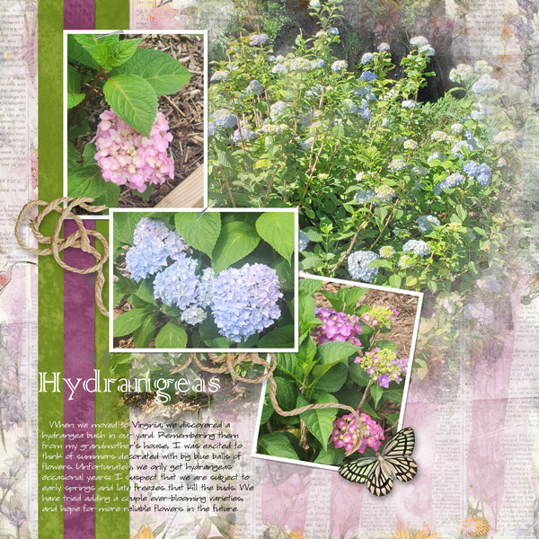 Hydrangeas - Journaling challenge