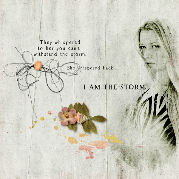 I am the storm