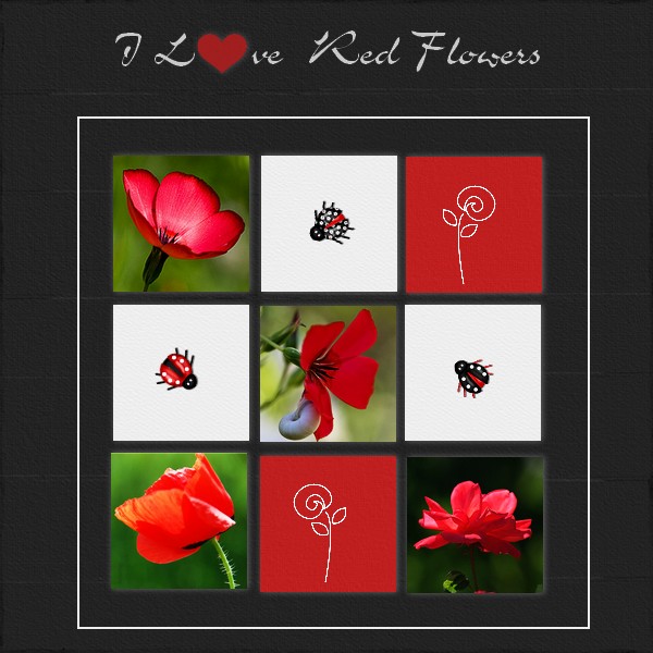 I Love Red Flowers