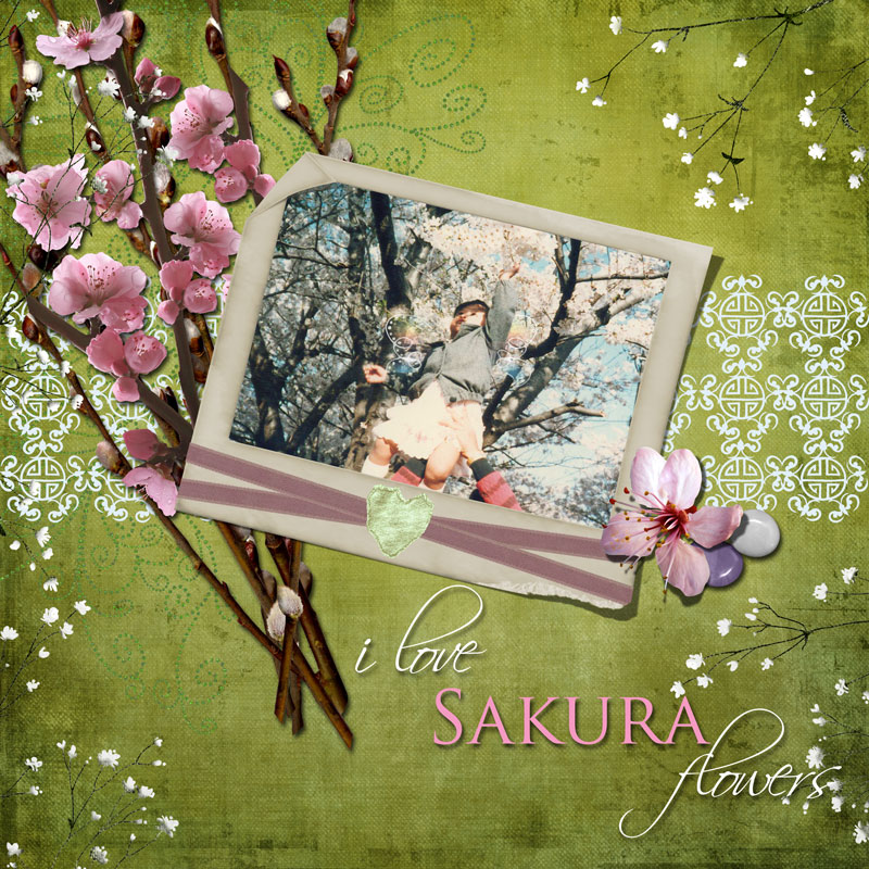 {i love sakura flowers}