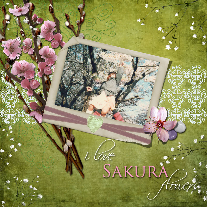 {i love sakura flowers}