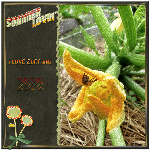 I love Zucchini