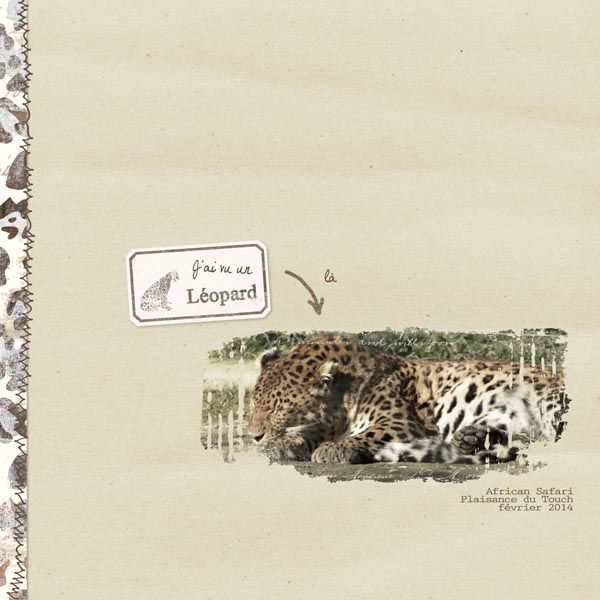 I saw a leopard