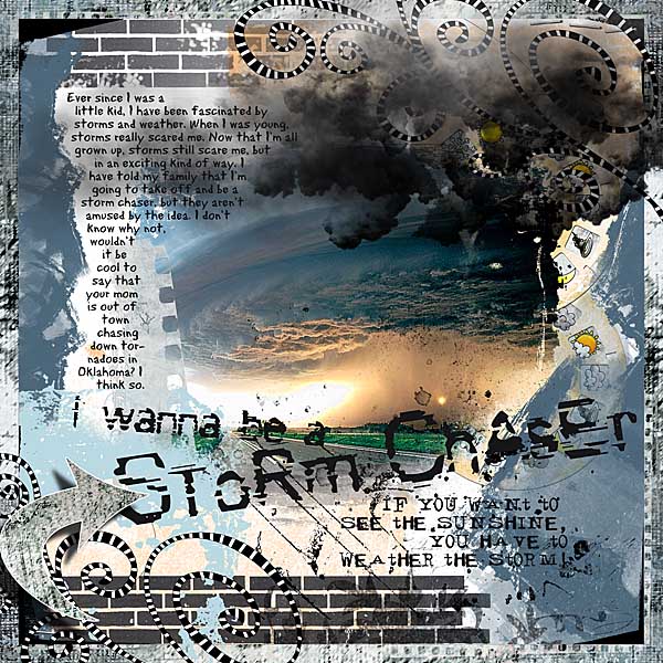 I Wanna Be A Stormchaser