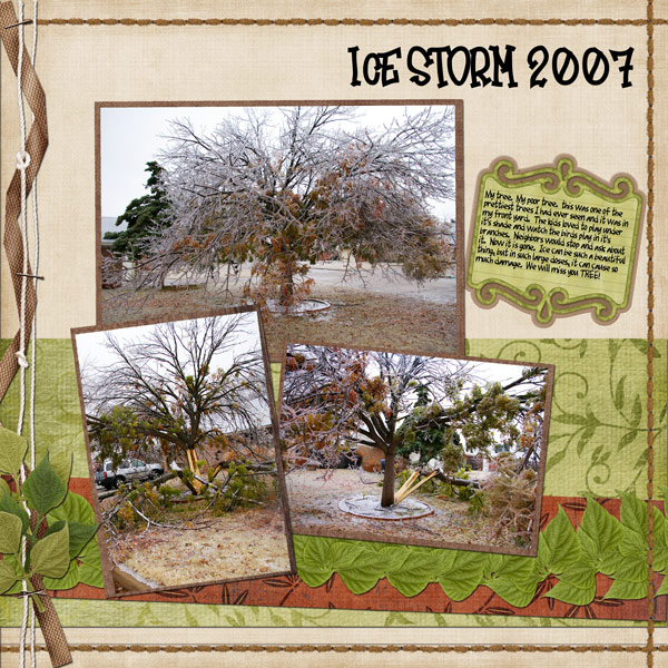 Ice Storm 2007