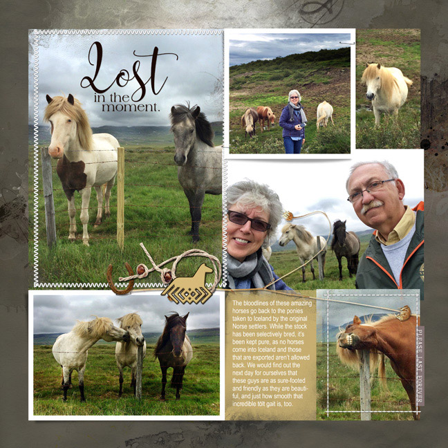 Icelandic Horses--right page