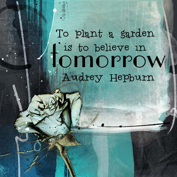 if you plant seeds ...