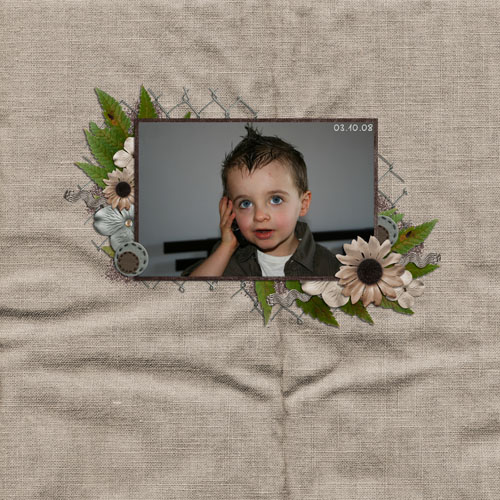 ilan