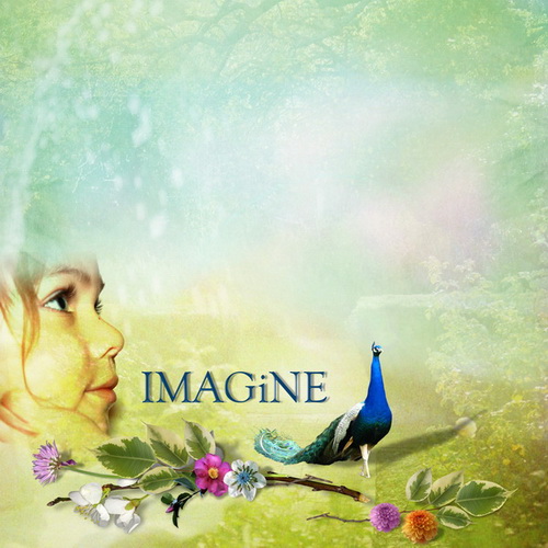 IMAGINE