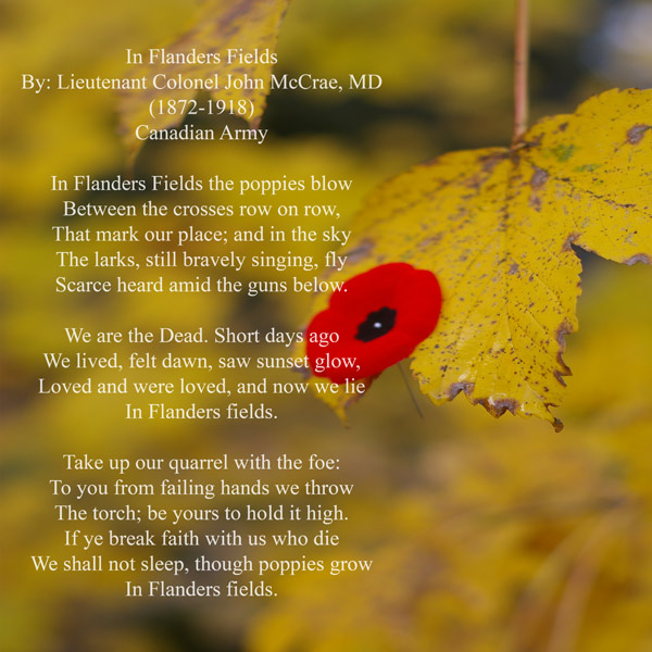 In Flanders Fields