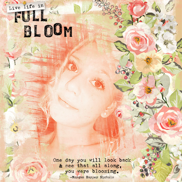 In-full-bloom.jpg