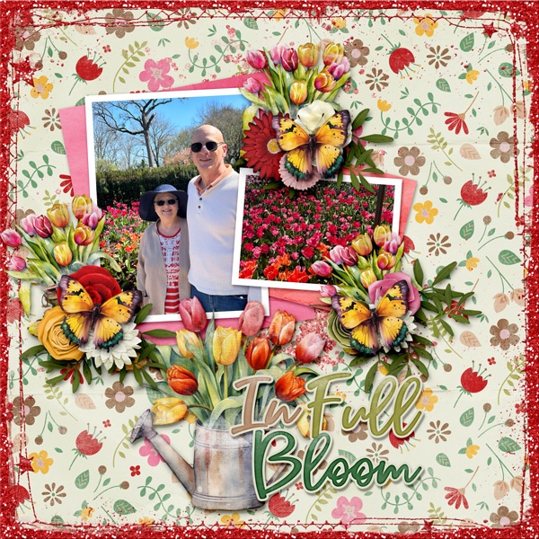 in-Full-Bloom