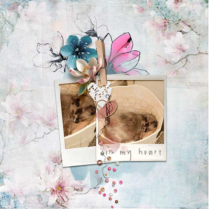 in my heart