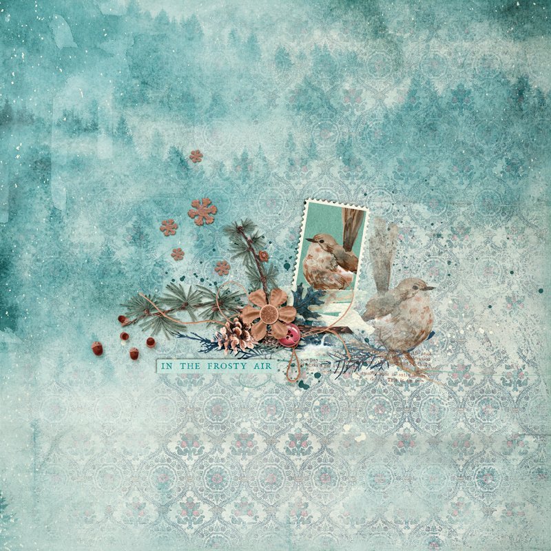 in-the-frosty-air.jpg