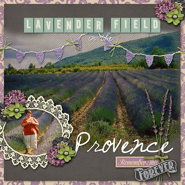 In The Provence