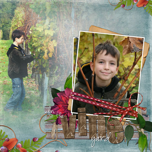 In-the-vineyard