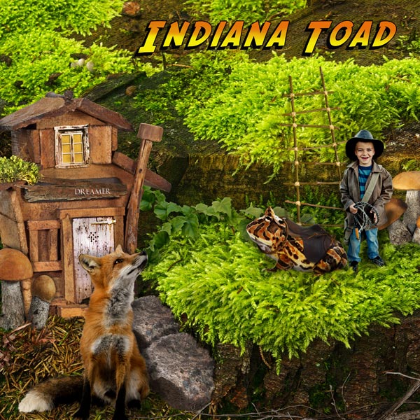 Indiana Toad