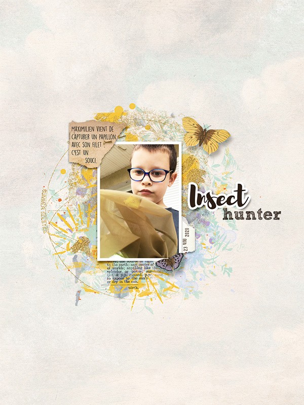 Insect hunter