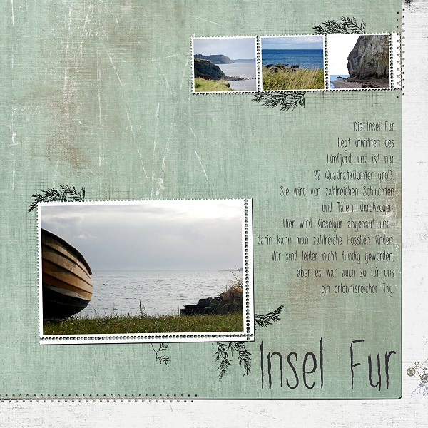 Insel Fur
