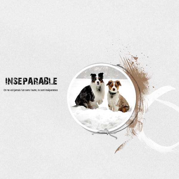 Insparable