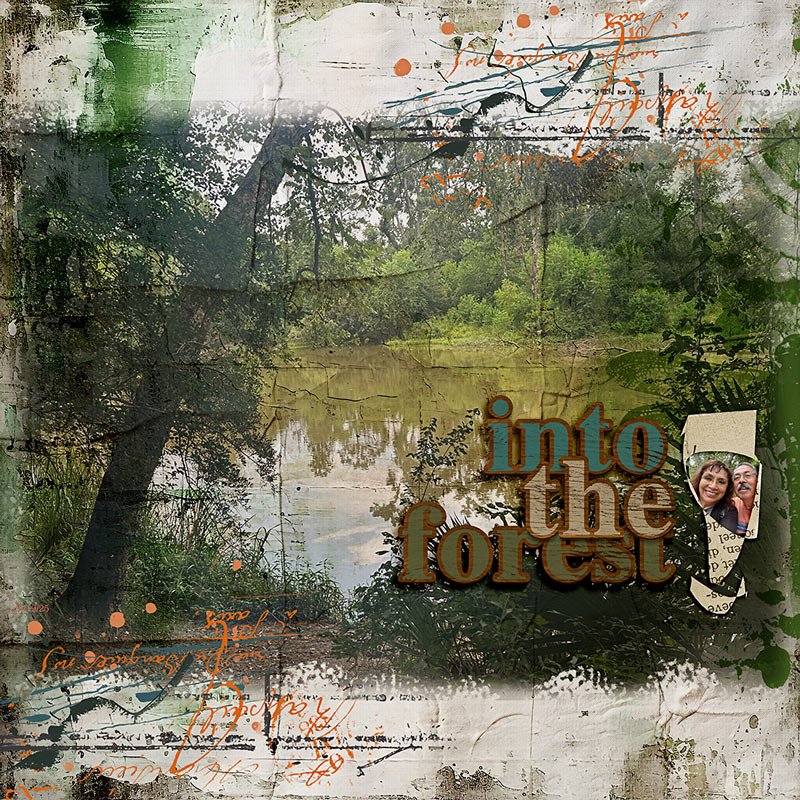 Into the Forest