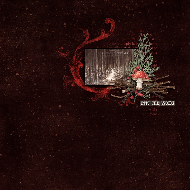 into-the-woods.jpg