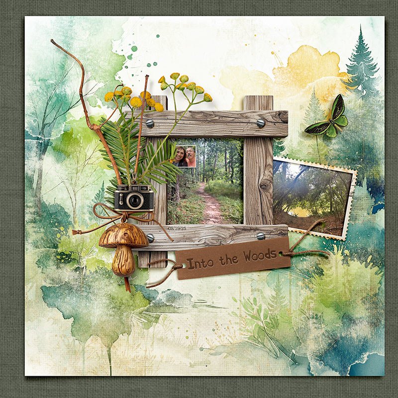 Into the Woods
