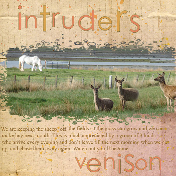 Intruders