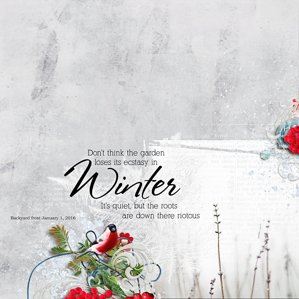 inwinter-copy