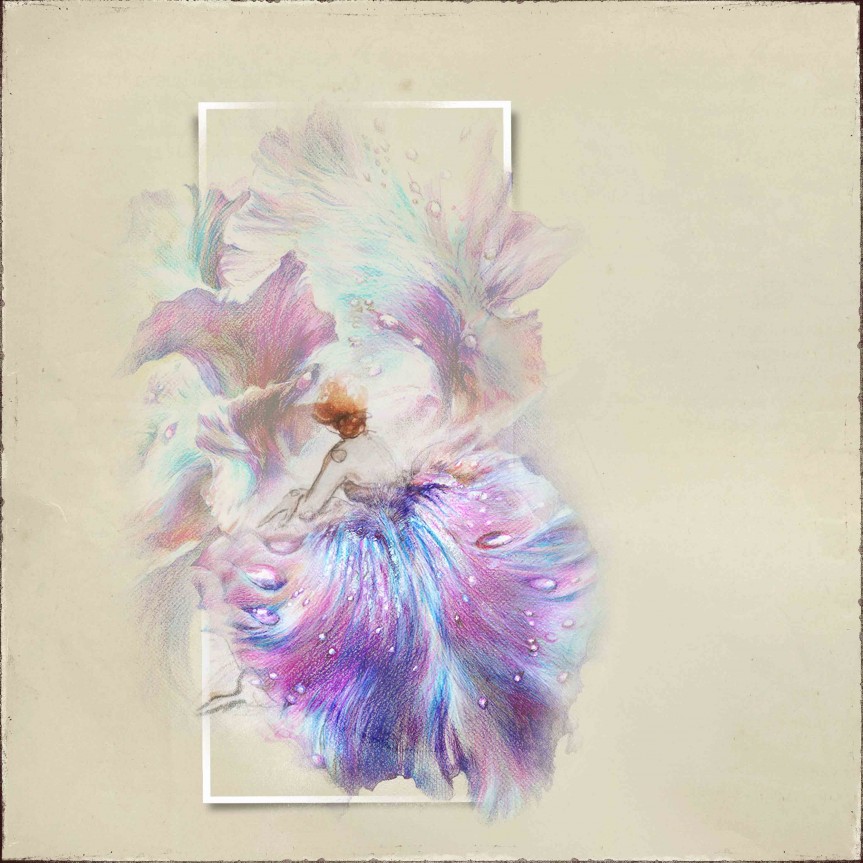 Iris Dancer