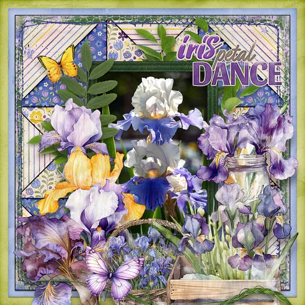 Iris Petal Dance