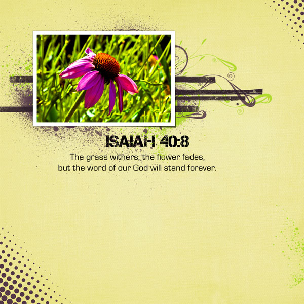 Isaiah 40:8