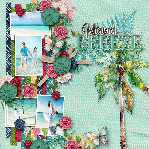 Island Breeze