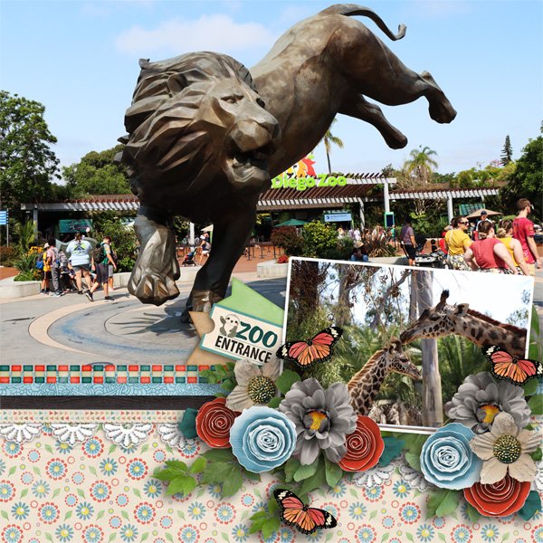 It's a Zoo Out There