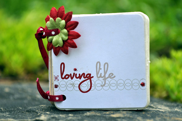 itty bitty mini coaster album cover