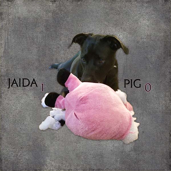 Jaida 1 Pig 0