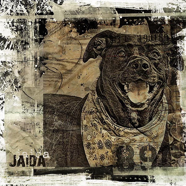 Jaida