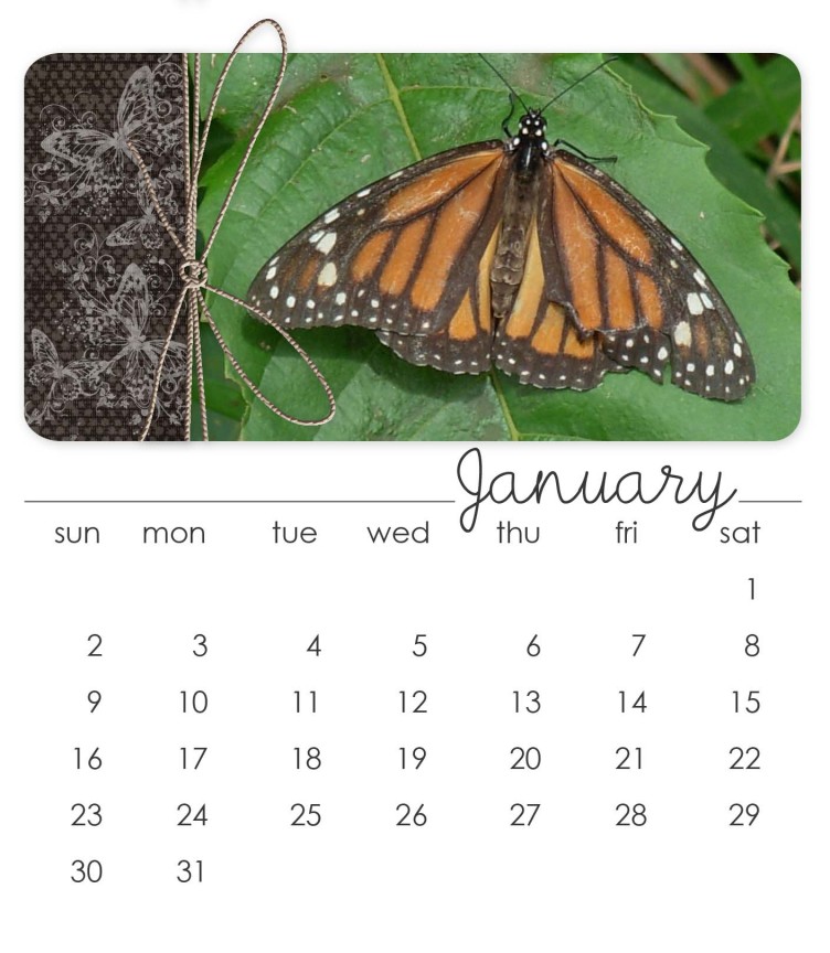 Jan 2011 CD Calendar