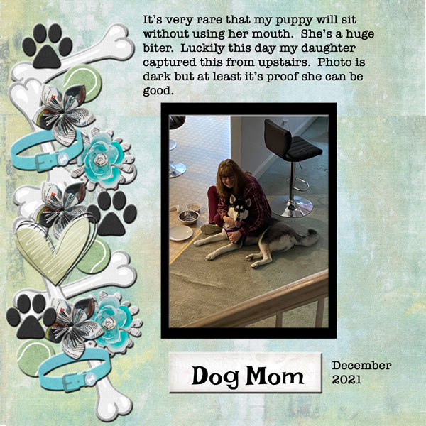 Jan 2022 Challenge 2 - 2021-12-dogmom.jpg