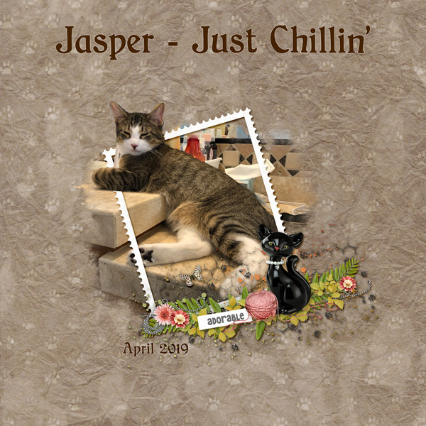 Jasper Just Chillin OOB