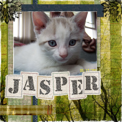 Jasper